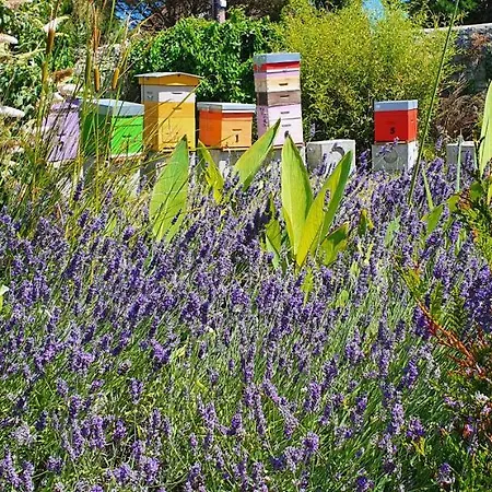 Les 5 Ruches Landhuis