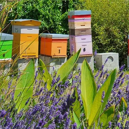 Les 5 Ruches Landhuis Courseulles-sur-Mer