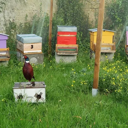 Landhuis Les 5 Ruches Courseulles-sur-Mer